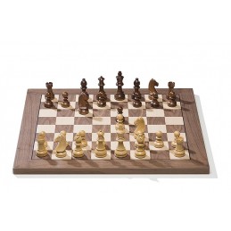 E-šachovnice turnajová -...